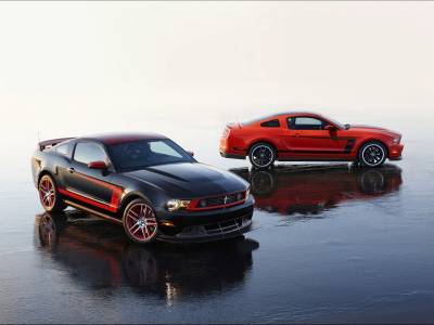 Several mustangs