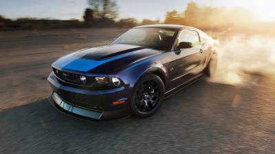 Mustang in the dust