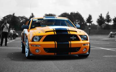 Красота ford