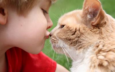 Любовь ребенка к животным