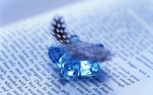 Открытая книга