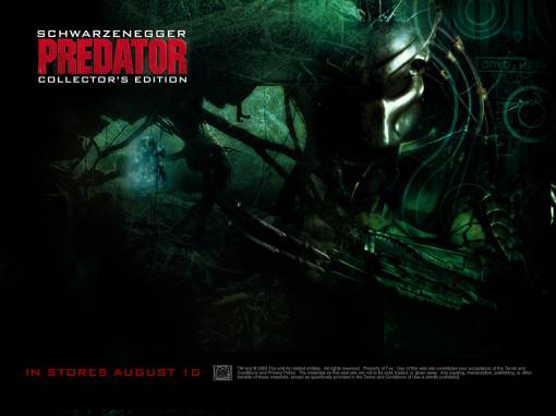 Predator