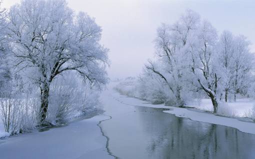 Замерзшая река