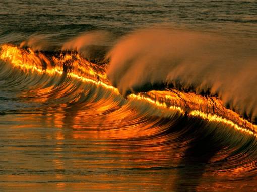 Волны на побережье в Мексике