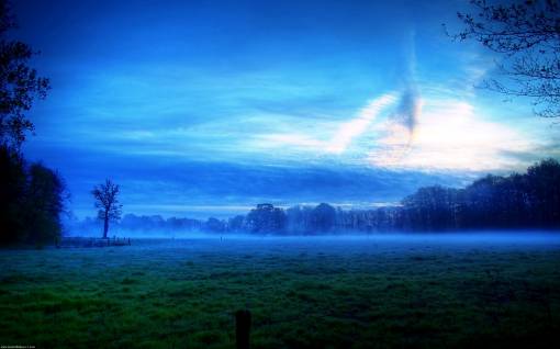 Голубой туман на поляне