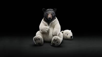 Медведь в костюме медведя