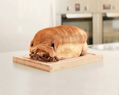 Собака-буханка