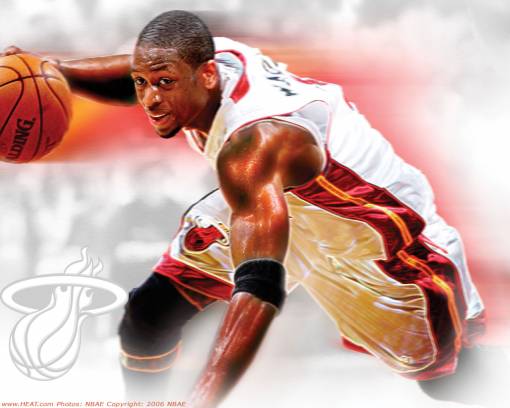 Dwyane Wade, баскетбол