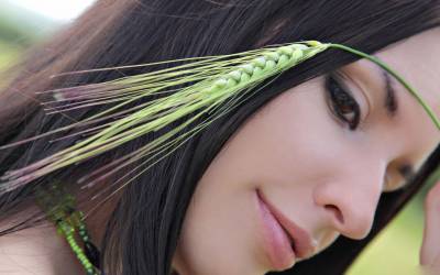 Зеленый колосок