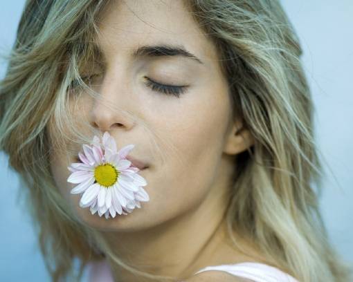 Хризантема