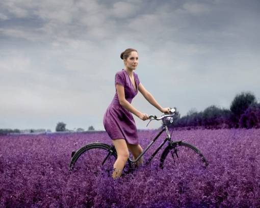 Сиреневый мир