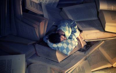 Книжный червь
