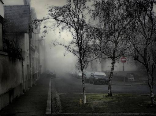 Город в тумане