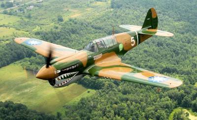 Curtiss p-40n warhawk