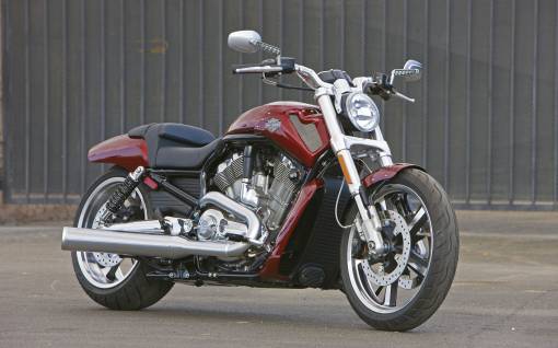 H-D VRSCF V-Rod Muscle