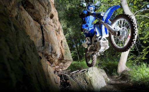 Yamaha WR450