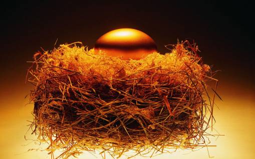 Золотое яйцо в гнезде