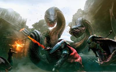 Dragon's dogma