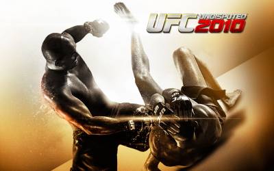 UFC 2010