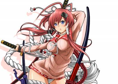 Hyakka Ryouran Samurai Girls