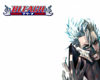 bleach gri