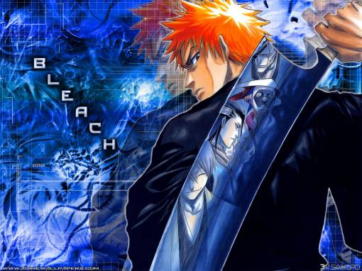 Bleach