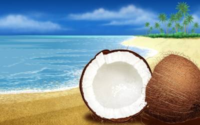 Разбитый кокос