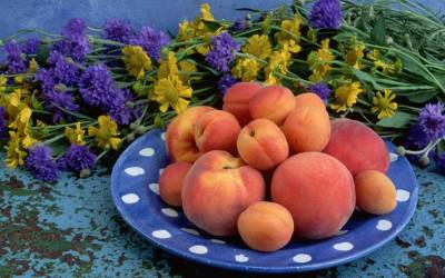 Персики и абрикосы