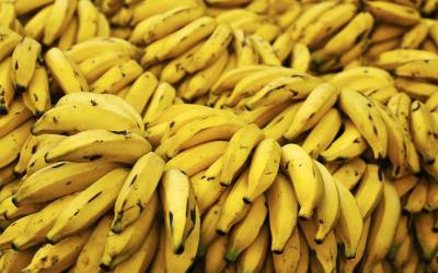 Бананы на складе