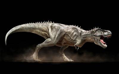 T-REX
