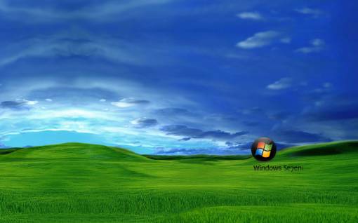 Поле Windows