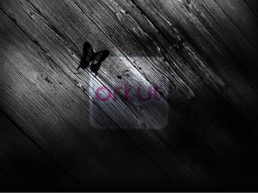 Orkut